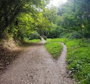 Colomiers Pibrac petite rando sympathique - Colomiers - 3