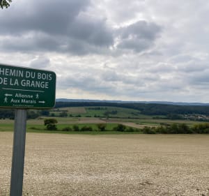 Sur les hauteurs d’Allonne - Allonne - 3