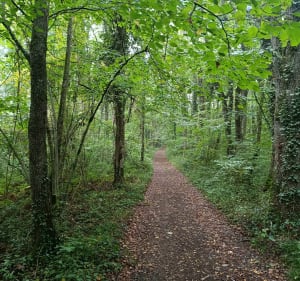 Boucle Sèvres, Bignoux et St Julien - Sèvres-Anxaumont - 5