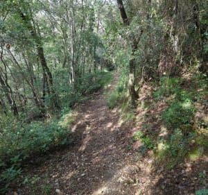 Boucle depuis Castagniers - Castagniers - 3