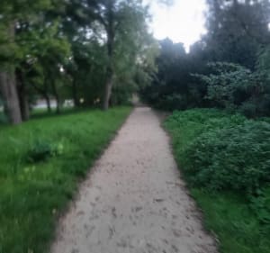 Balade matinale entre centre ville et verdure depuis Puteaux - Puteaux - 3