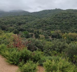 Ronde de Villelongue-Dels-Monts - Villelongue-Dels-Monts - 3