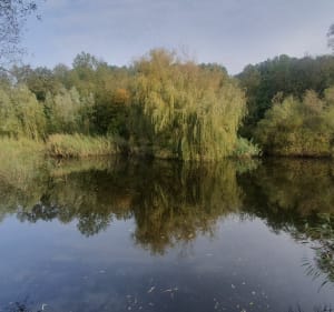 Genas des villes, Genas des champs - Genas - 4