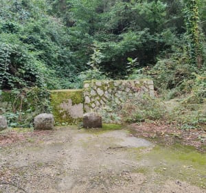 Ronde de Villelongue-Dels-Monts - Villelongue-Dels-Monts - 5