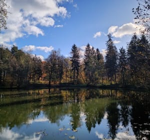 Park Miejski - Olsztyn - 3