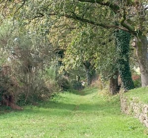 Pointe de Ninezur - Belz - 3
