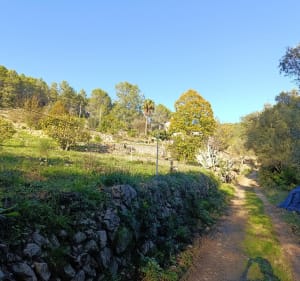 Barre de Cuers retour par Valcros - Cuers - 4