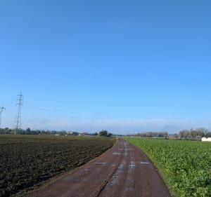 Balade entre ville et campagne - Marcq-en-Barœul - 4
