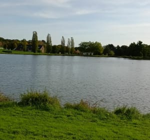 Etangs, forêt et voie verte autour Châteaubriant - Châteaubriant - 3