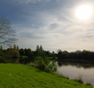 Etangs, forêt et voie verte autour Châteaubriant - Châteaubriant - 5