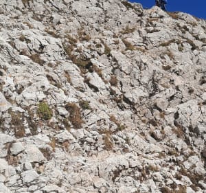 Col des 2 Sœurs et Pas de l'Œil - Le Gua - 5