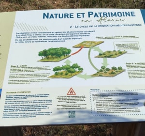La nature en Alaric - FREDERIC - 5