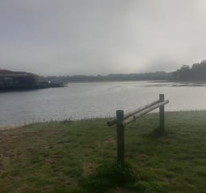 Le tour du lac Marin Soustons-Vieux Boucau. - Soustons - 4