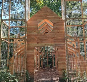 Forêt de Roumare - Canteleu - 4