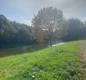 Balade au tour de l'étang de la Roche - Saint-Symphorien-de-Lay - 3
