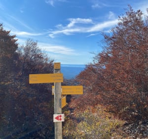 Randonnée du Mont Ventoux - Bédoin - 3