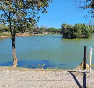 Tour des Lacs de Millas - Millas - 5