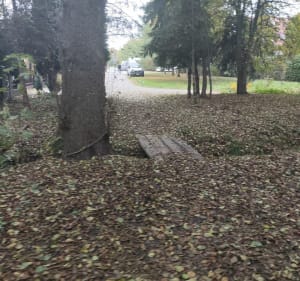 Zachodnia trasa po Dąbrówce - Dąbrówka - 3