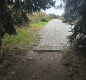 Zachodnia trasa po Dąbrówce - Dąbrówka - 4