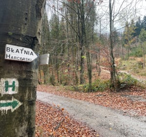 Błatnia szlakiem Harcerskim - Brenna - 4