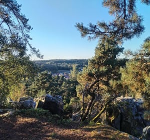Balade autour de Boissy-le-Cutté, par Rocher Bizet - Boissy-le-Cutté - 3