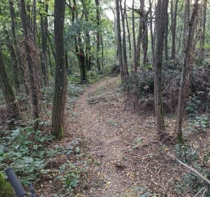 Boucle sur le plateau Nord lyonnais - Sathonay-camp / Beynost - Sathonay-Camp - 3