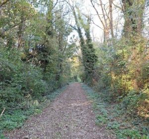 Boucle sur le plateau Nord lyonnais - Sathonay-camp / Beynost - Sathonay-Camp - 4