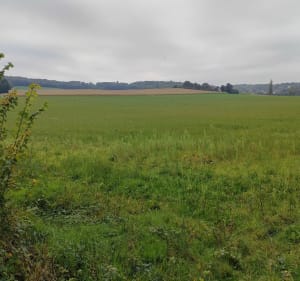 Autour de Danemois - Dannemois - 4