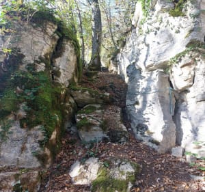 Tour d'Hauteroche et ses falaises. - Hauteroche - 3