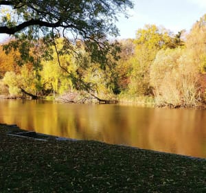 Plac Jasne Błonia Szczecin - Marta - 4