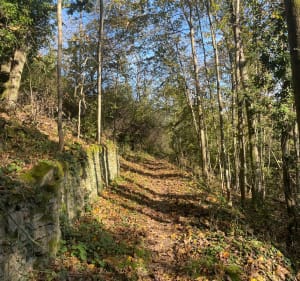 Boucle d'Hohengoeft, direction Wasselonne puis Marlenheim - Hohengœft - 3