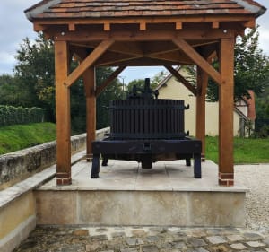 Balade autour de Thoré-la-Rochette (41) - Thoré-la-Rochette - 5