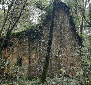 Balade des lavandières - Saint-Vincent-de-Cosse - 5