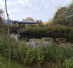 Bord de seine des impressionnistes - Rueil-Malmaison - 3