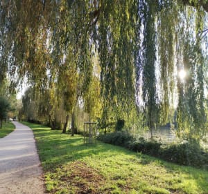 Bord de seine des impressionnistes - Rueil-Malmaison - 4