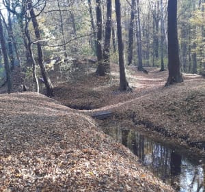 Park Poetów - Zielona Góra - 3