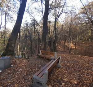 Park Poetów - Zielona Góra - 4