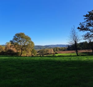 Boucle de Saint-Julien-le-Petit - Saint-Julien-le-Petit - 3