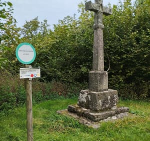 Sur les hauteurs de Vecoux - Vecoux - 4