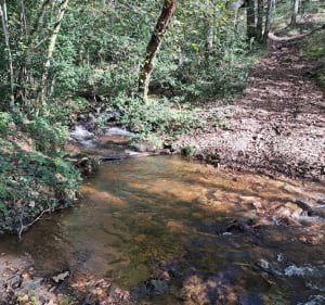 Boucle de Saint-Julien-le-Petit - Saint-Julien-le-Petit - 4