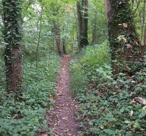 Les vendeangoires de Laonnois - Vorges - 5
