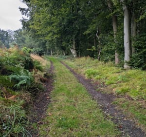 Balade à Perriers-la-Campagne - Nassandres sur Risle - 3