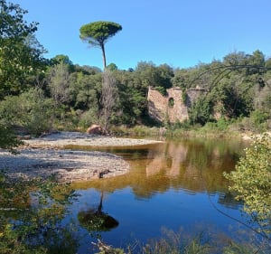 Entre Endre, collines et mer - La Motte - 3