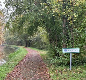 De Méry-sur-Cher à Thénioux par le canal - Méry-sur-Cher - 3