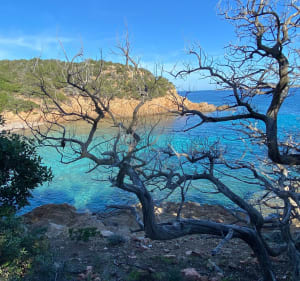 Les Cerbicales depuis Palombaggia - Porto-Vecchio - 3