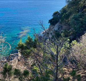 Les Cerbicales depuis Palombaggia - Porto-Vecchio - 5