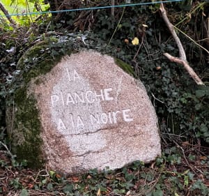 Parcours bucolique, par l'étang Bordessoule et le Château de la Lande - Crozon-sur-Vauvre - 3