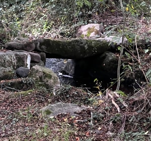 Parcours bucolique, par l'étang Bordessoule et le Château de la Lande - Crozon-sur-Vauvre - 4