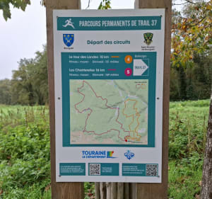 Echapée en forêt depuis Bourgueil - Bourgueil - 4