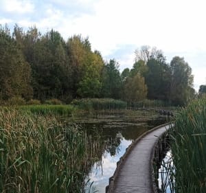 Bois et étangs de la Gîtes - Wavrin - 4